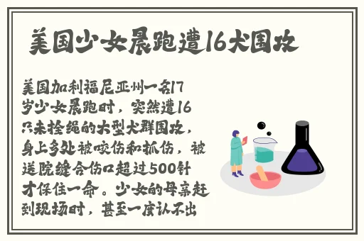 授课方式by肉馅小水饺